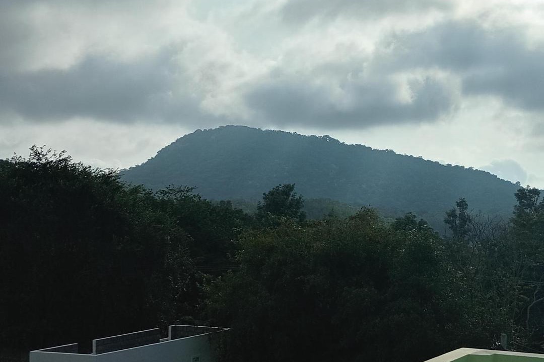 Photo of Others in Yelagiri