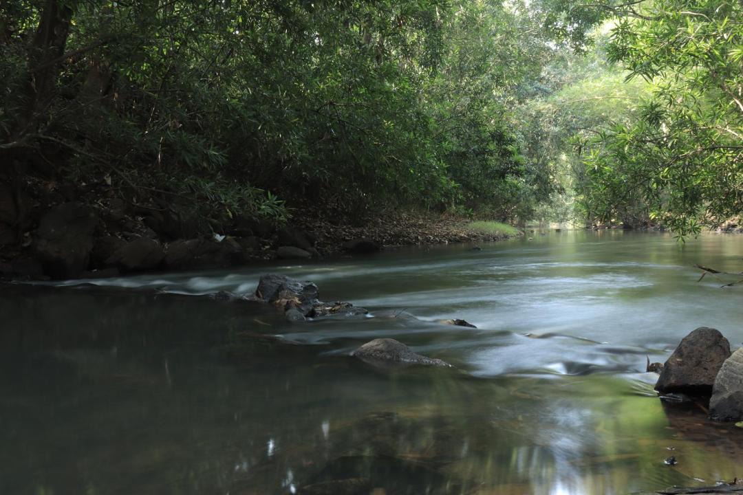 Photo of Others in Thalassery
