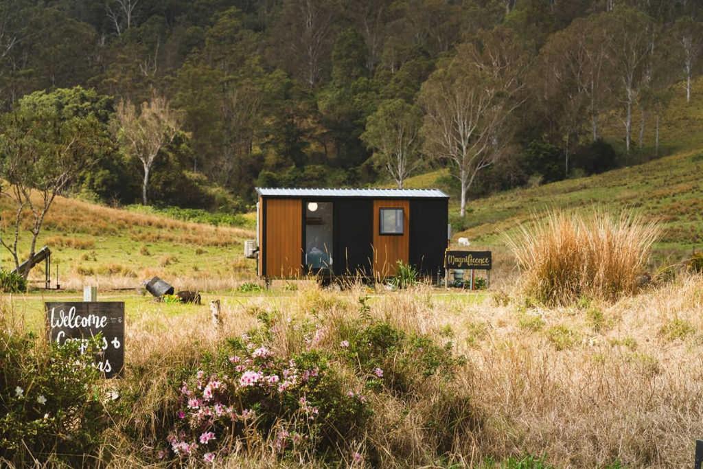 Photo of Others in Conondale
