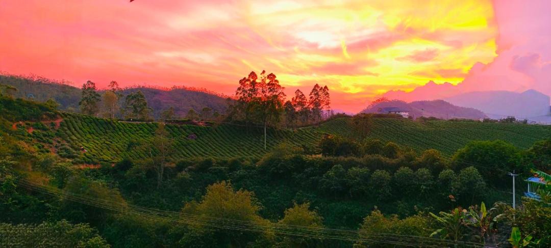 Photo of Others in Munnar