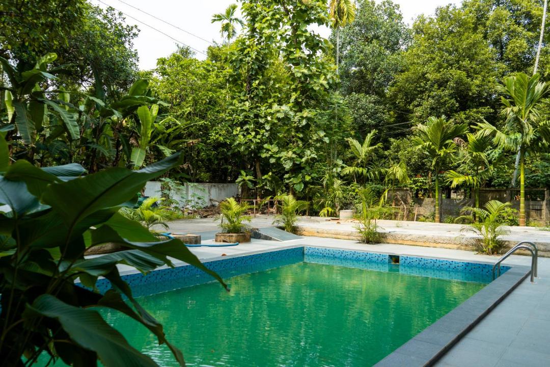 Photo of Others in Aluva