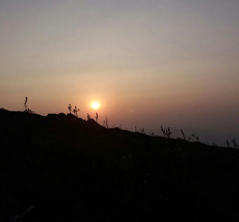 Photo of Others in Madikeri