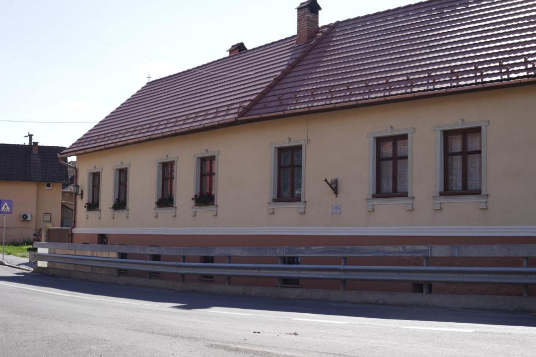 Photo of Others in Zetea