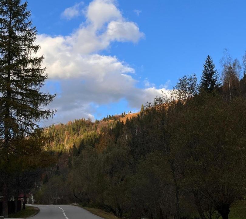 Photo of Others in Brosteni