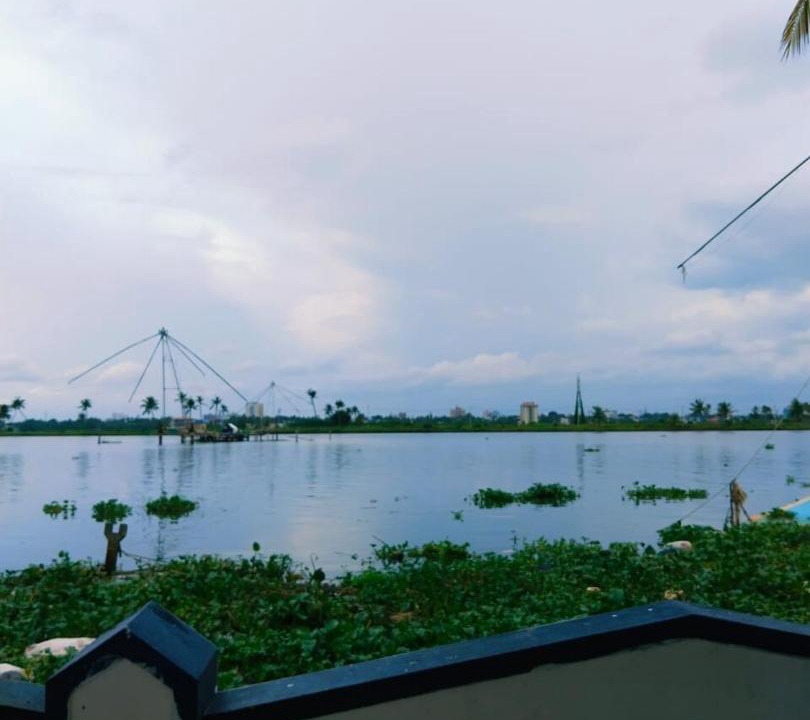 Photo of Others in Kochi