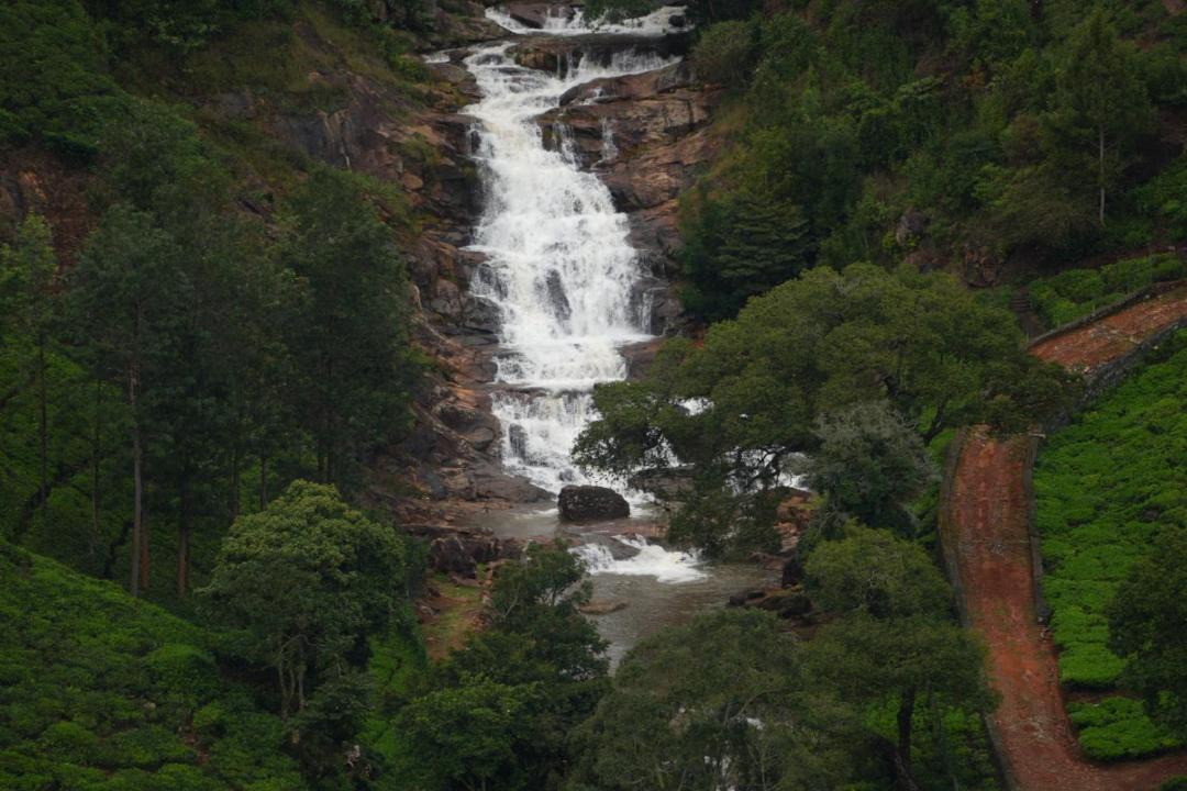 Photo of Others in Wellington