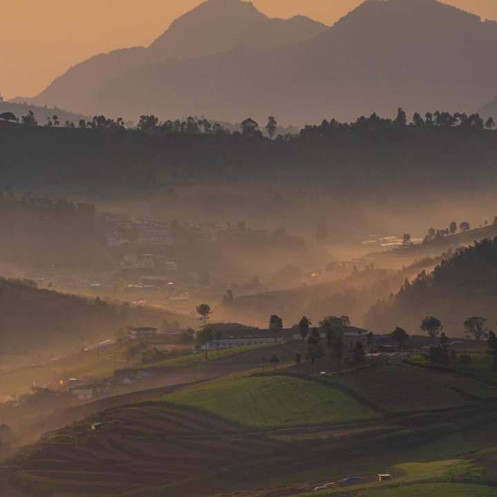 Photo of Others in Ooty