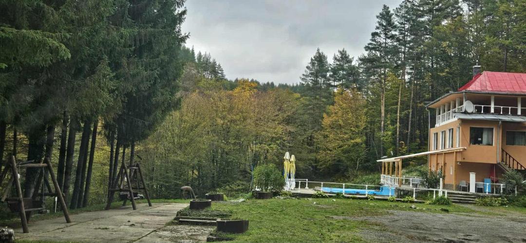 Photo of Others in Bozovici