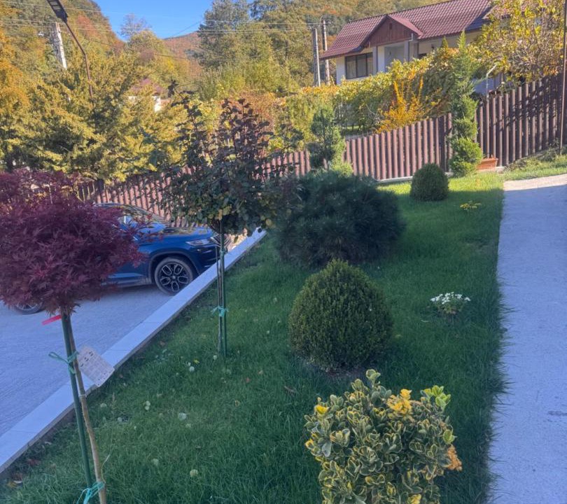 Photo of Outdoor in Calimanesti
