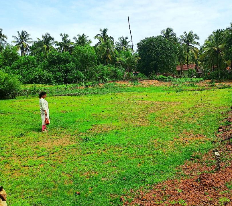 Photo of Others in Patnem