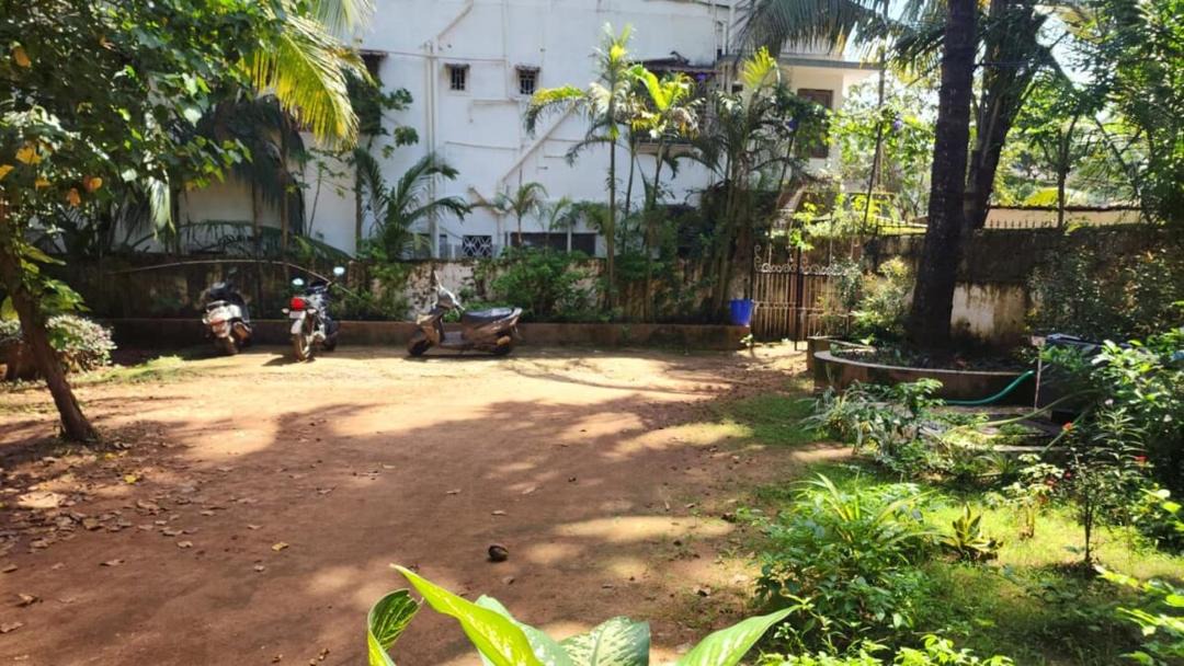 Photo of Others in Calangute