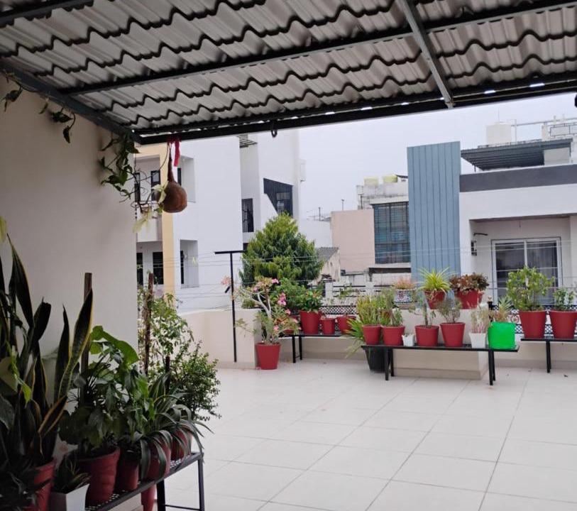 Photo of Others in Central Area