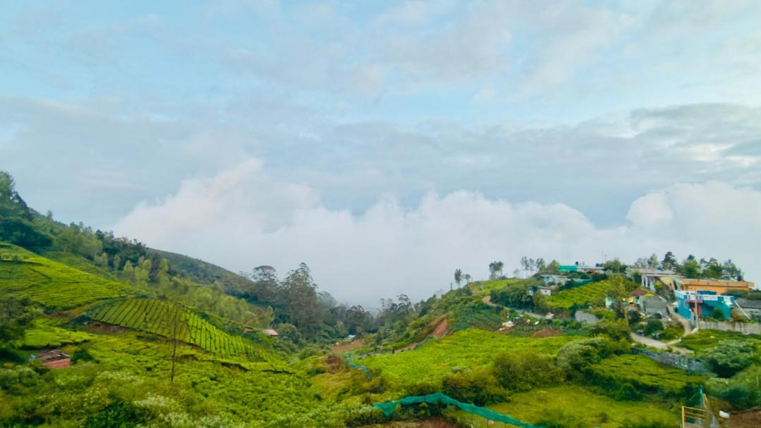 Photo of Others in Ooty
