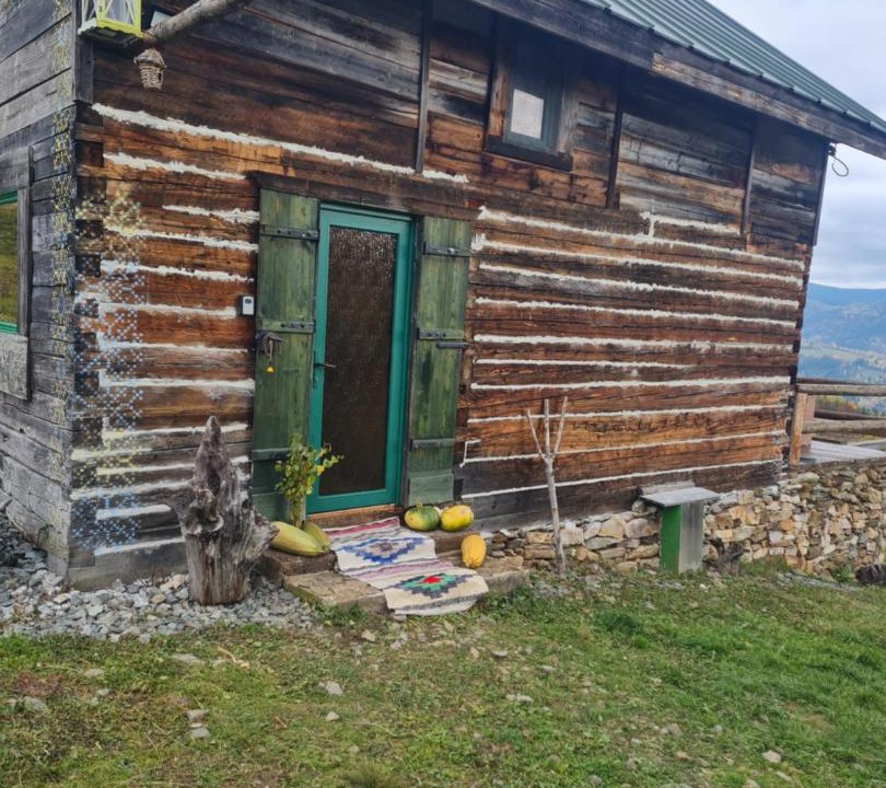 Photo of Others in Horea