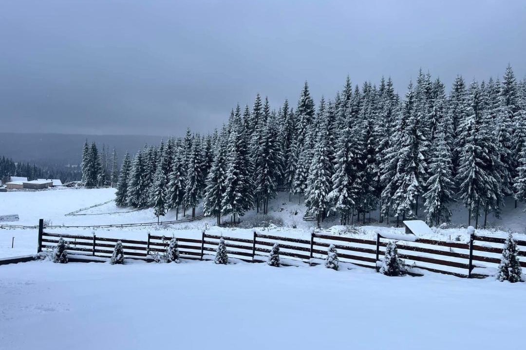 Photo of Others in Margau