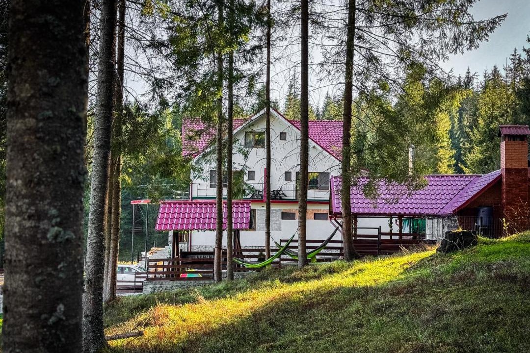 Photo of Others in Margau