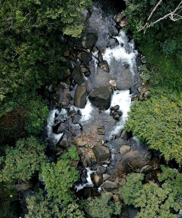 Photo of Others in Kunnathidavaka