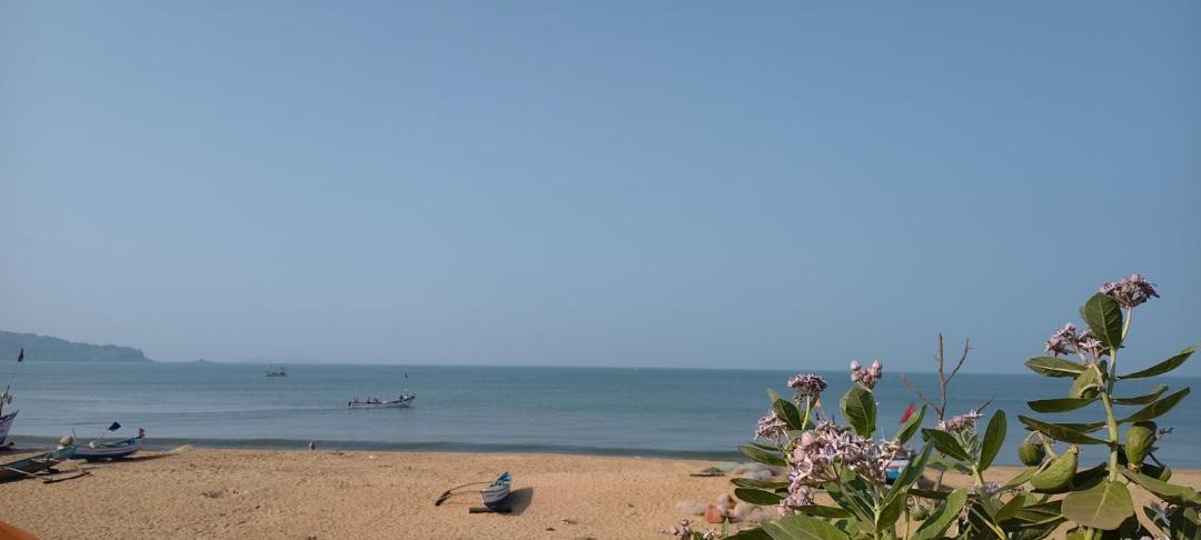 Photo of Others in Patnem