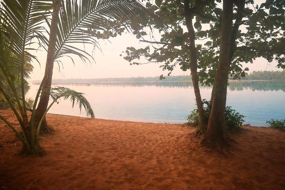 Photo of Others in Kasaragod District