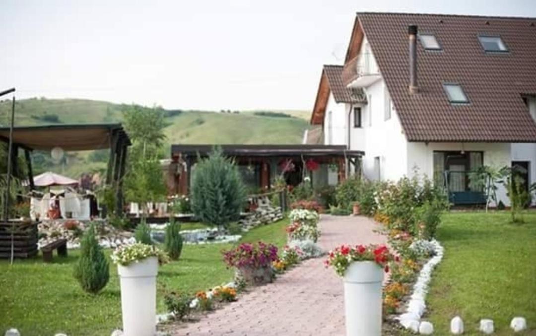 Photo of Buildings in Oituz