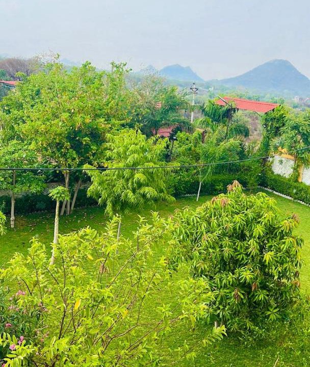 Photo of Others in Bedla