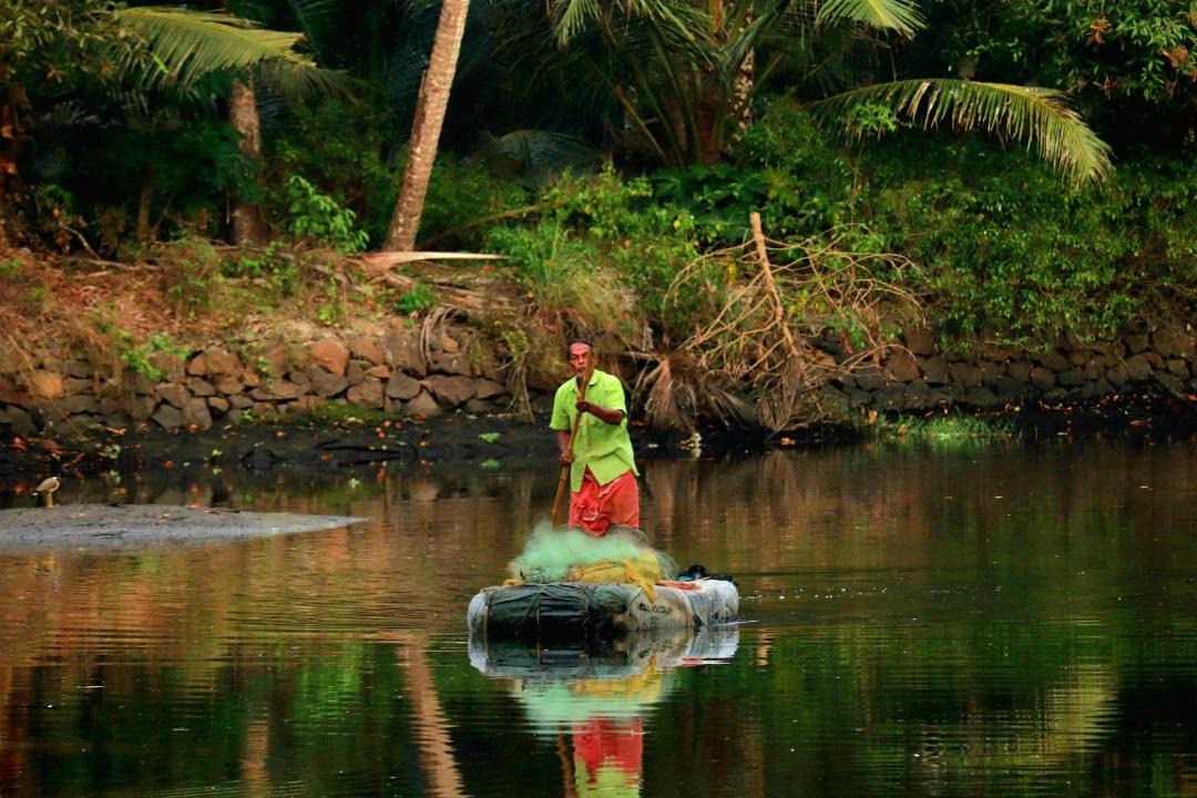 Photo of Human In Picture in Mararikkulam North