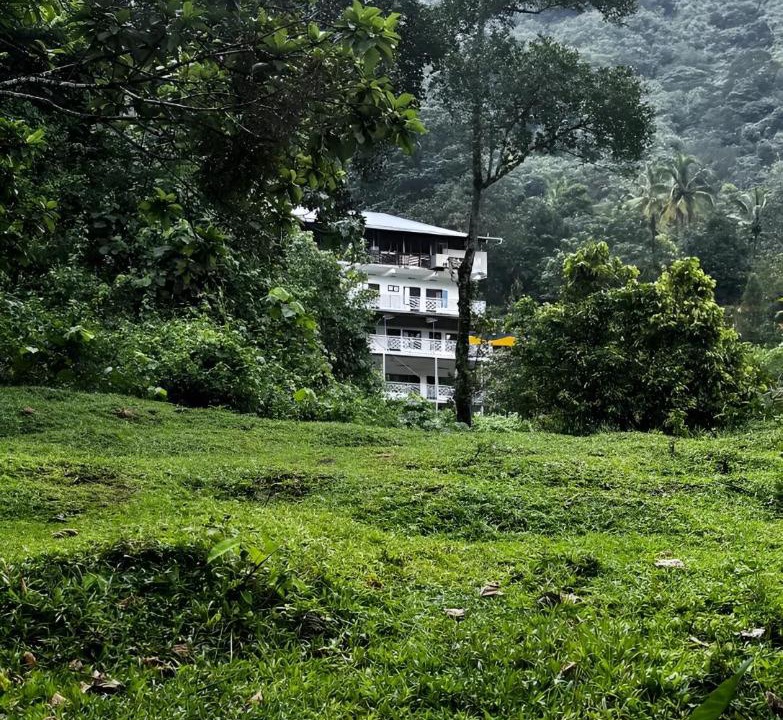 Photo of Others in Devikolam