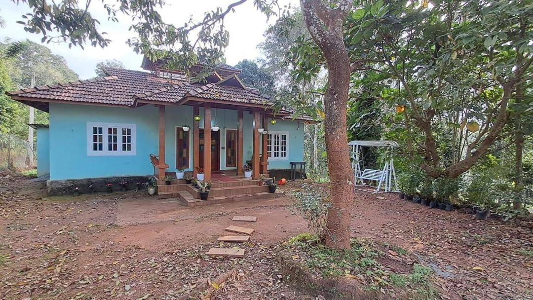 Photo of Others in Kidanganad