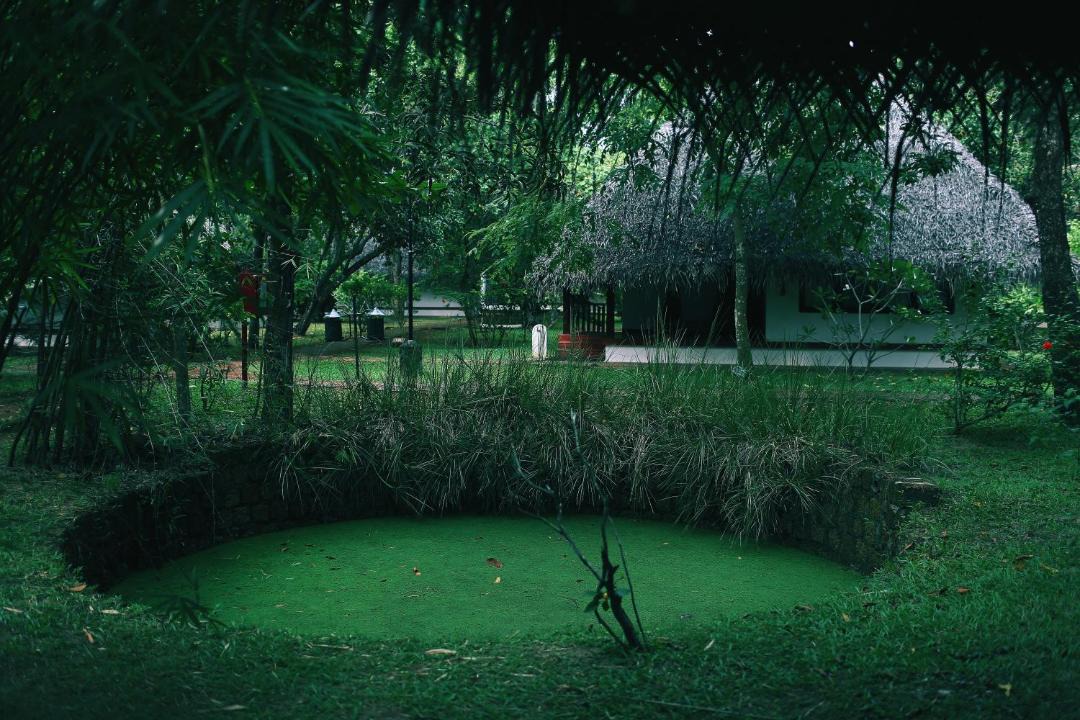 Photo of Others in Mararikulam