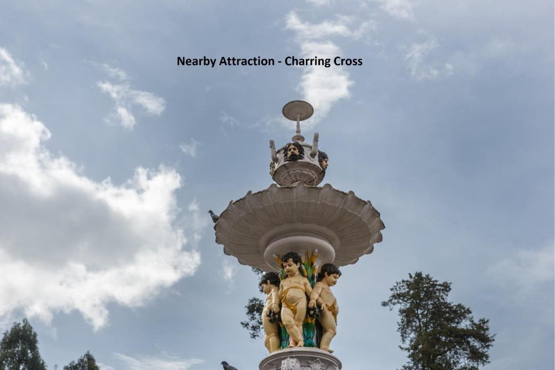 Photo of Others in Ooty