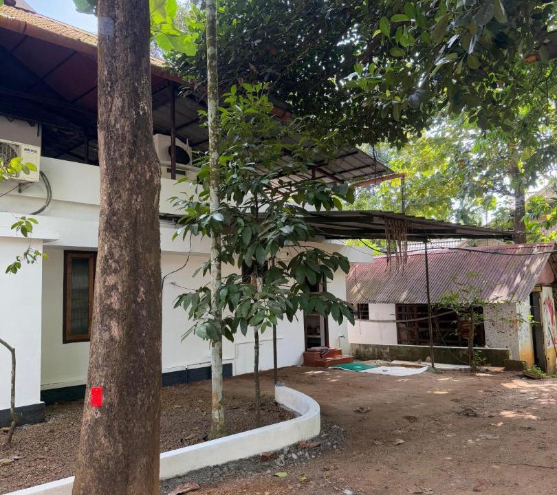 Photo of Others in Muvattupuzha