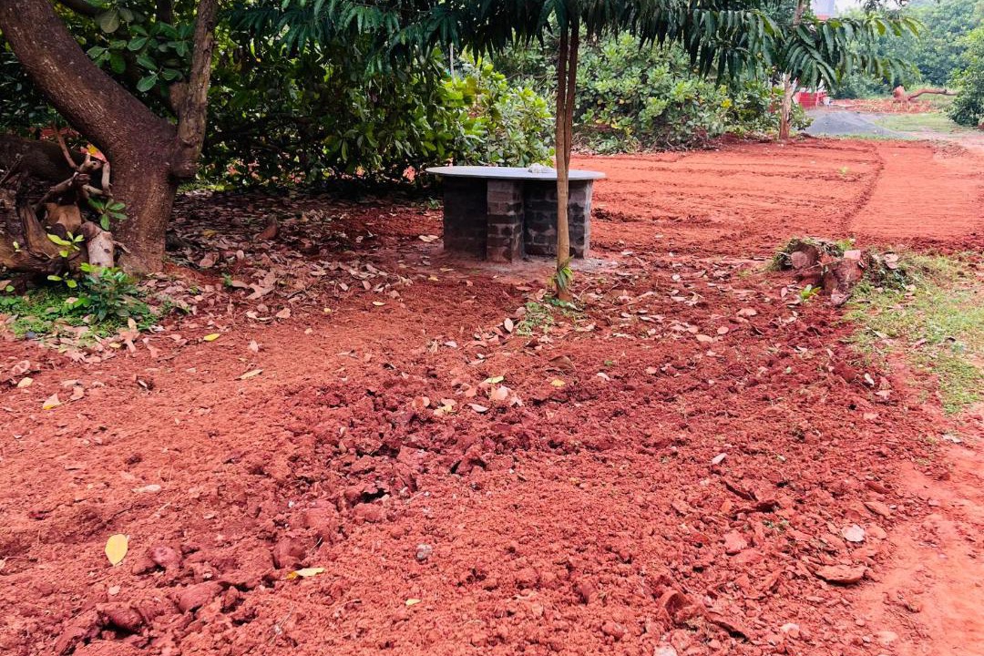 Photo of Others in Auroville
