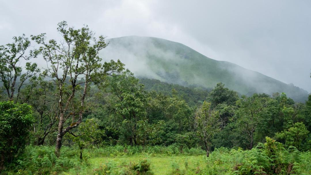 Photo of Others in Sakleshpur