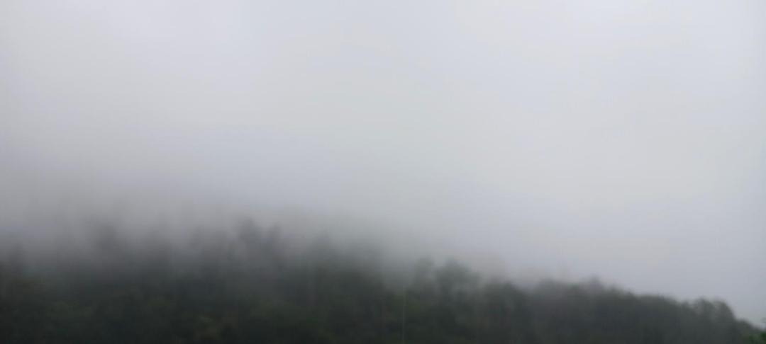 Photo of Others in Kotagiri