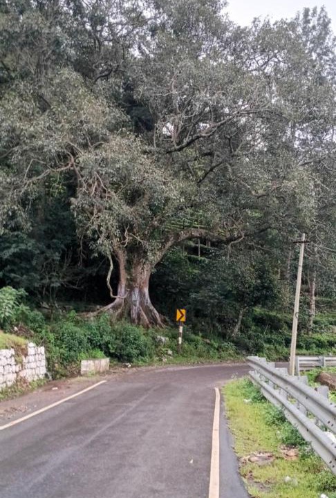 Photo of Others in Kotagiri