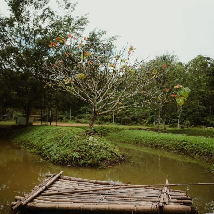 Photo of Others in Kalpetta