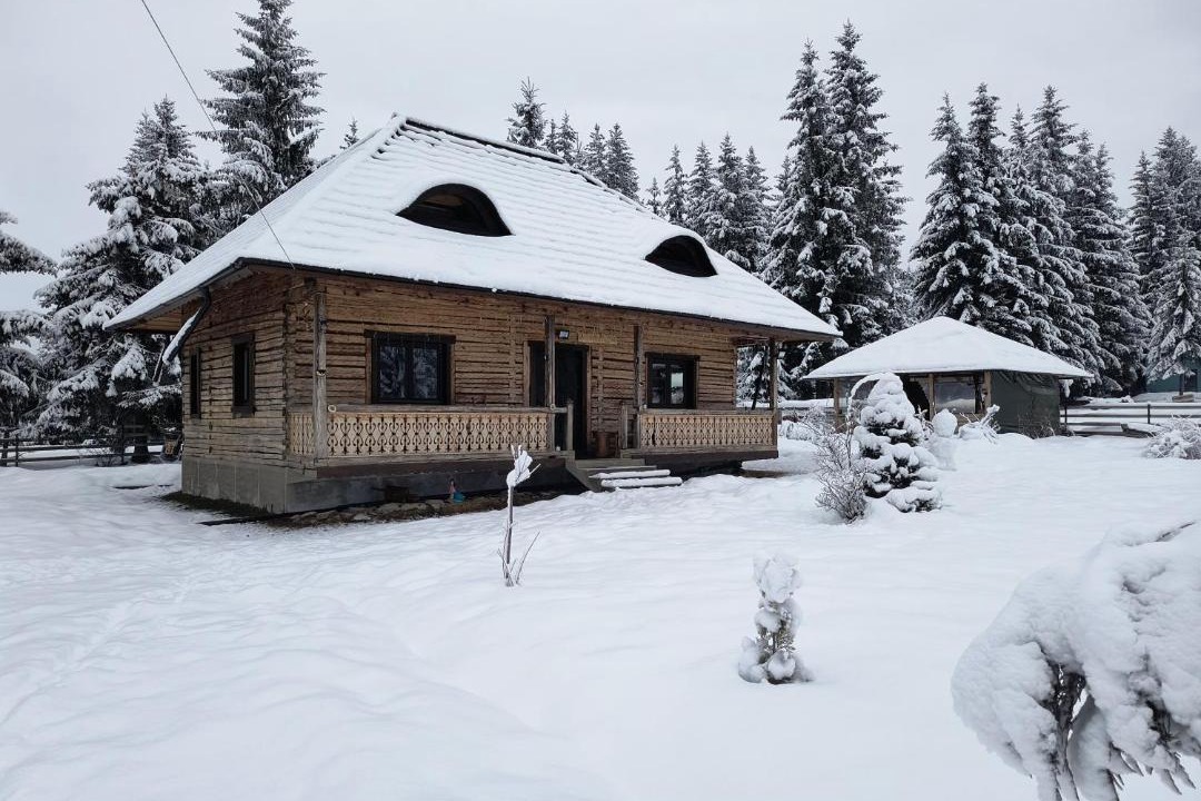 Photo of Others in Vatra Dornei