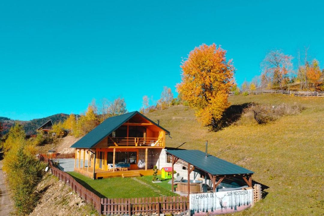 Photo of Others in Horea