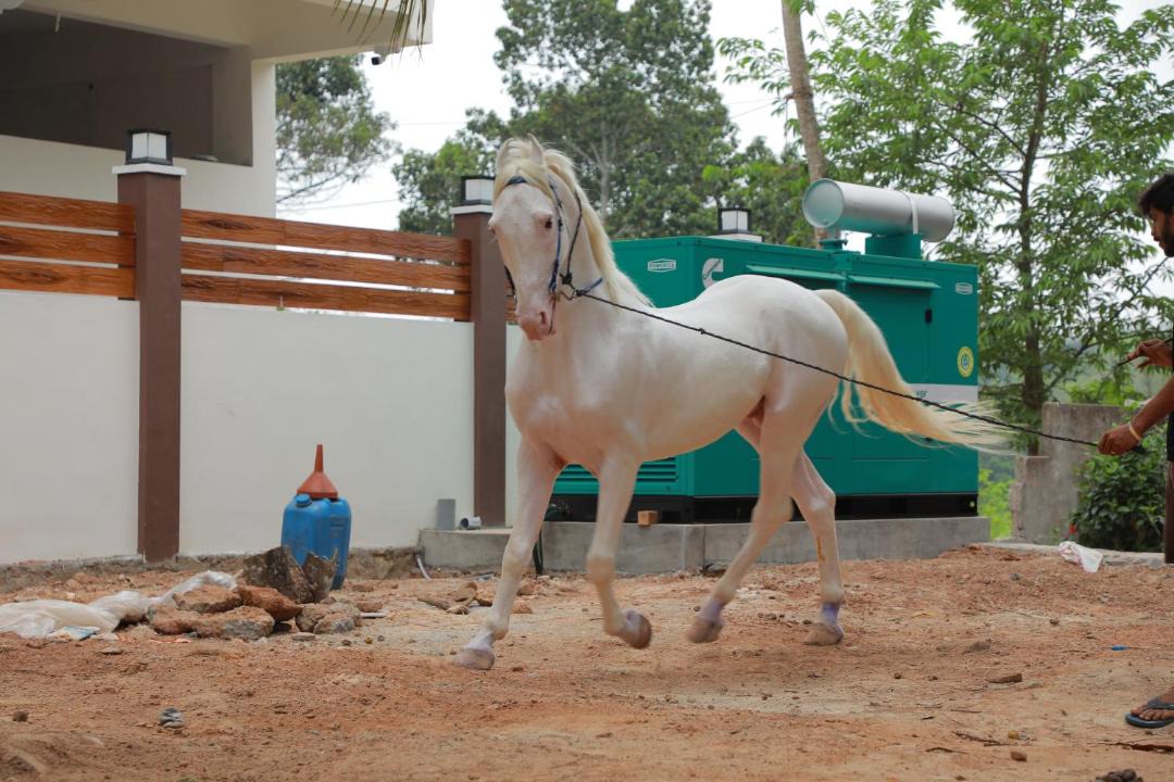 Photo of Others in Takkalai