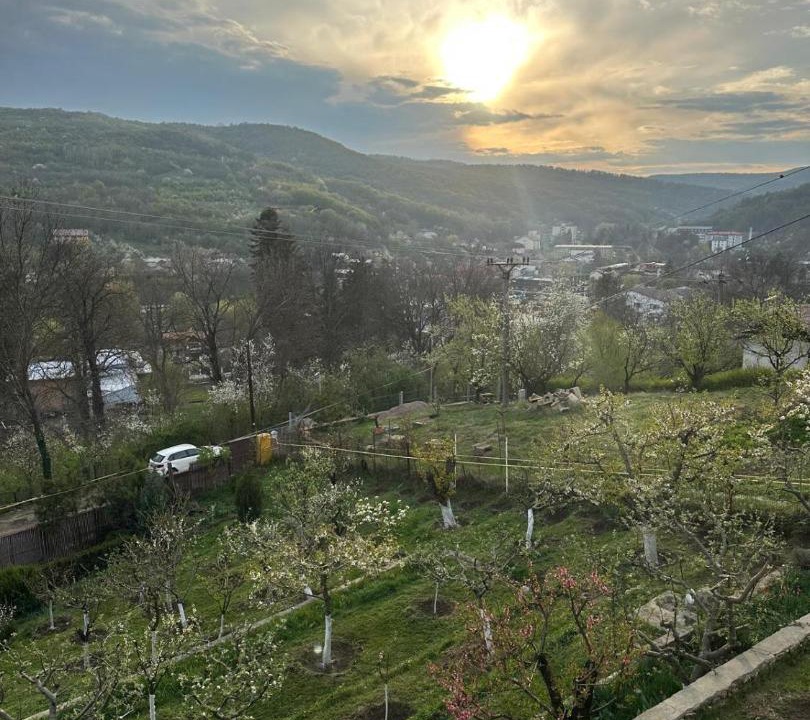 Photo of Others in Merei