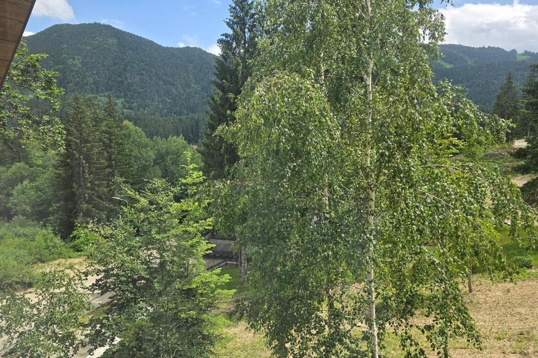 Photo of Others in Poiana Brasov