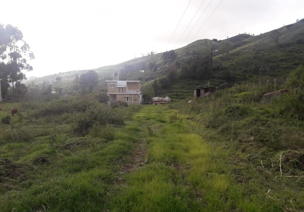 Photo of Others in Kodaikanal
