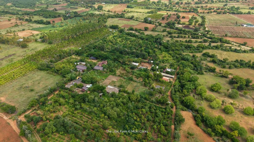 Photo of Others in Gauribidanur