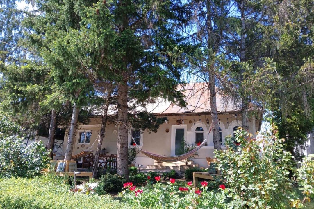 Photo of Others in Valcea