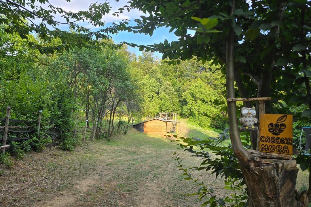 Photo of Others in Baile Olanesti