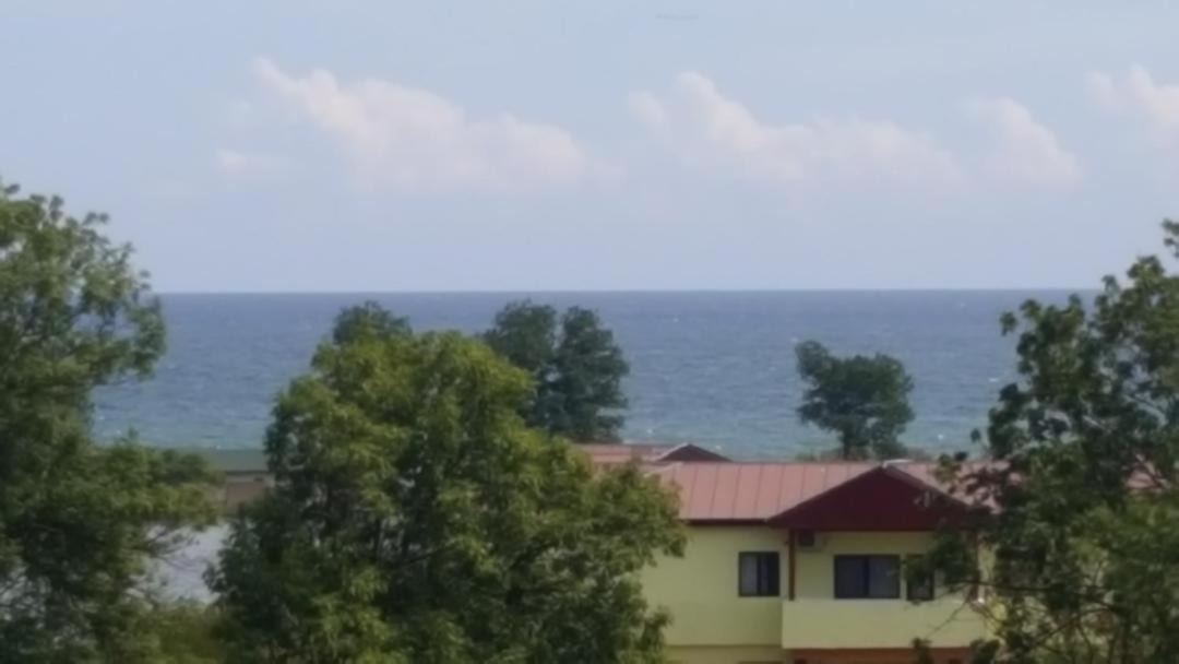 Photo of Others in Jupiter