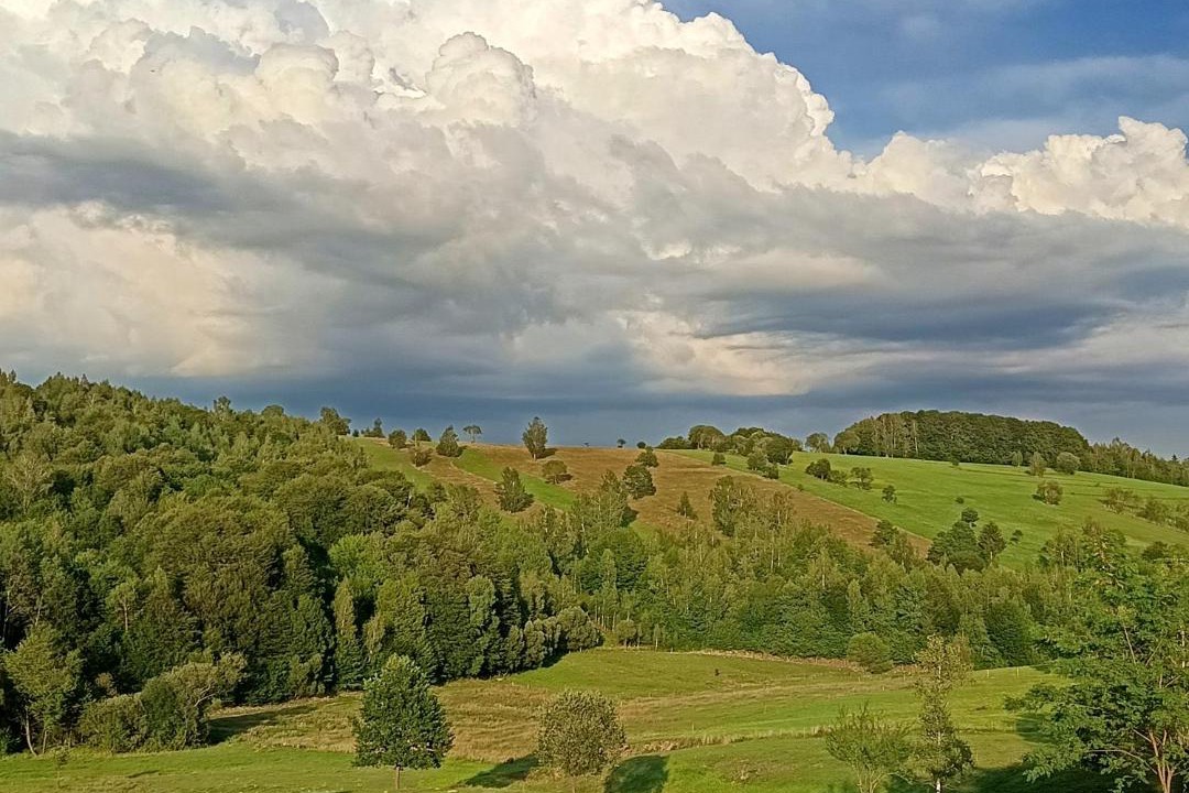 Photo of Others in Intorsura Buzaului