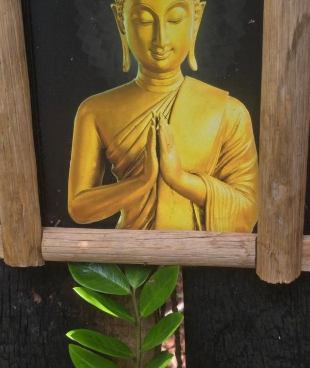 Photo of Others in Varkala