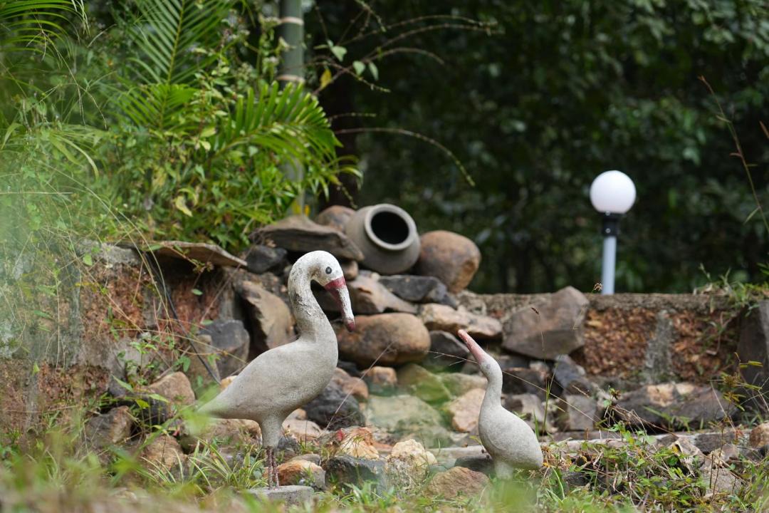 Photo of Others in Sirsi