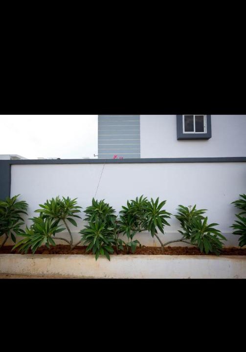 Photo of Others in Banjara Hills